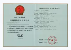 Preview of China Type Approval Certificate (CPA) 2025C550-44